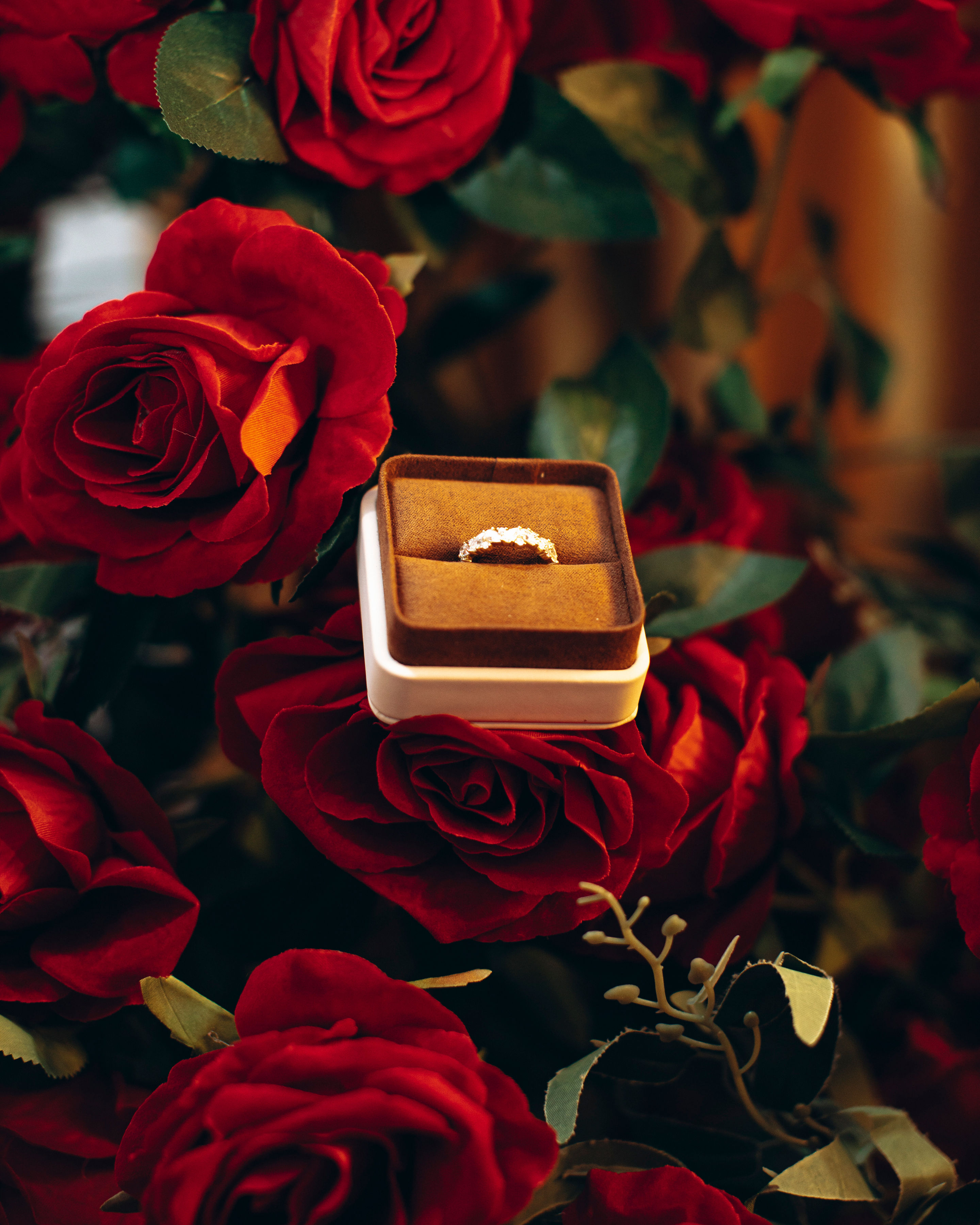 Proposal